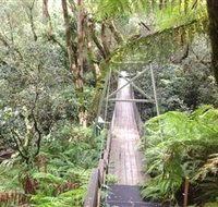 Bemm River Scenic Reserve - Attractions Melbourne
