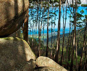 Mount Gulaga (Mount Dromedary) Walk - Attractions Melbourne 0