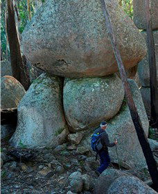 Mount Gulaga (Mount Dromedary) Walk - Attractions Melbourne 1