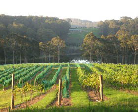 Bellbird Scenic Drive Tilba - Attractions Melbourne 3