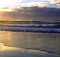 Handkerchief Beach Picnic Area - Attractions Melbourne