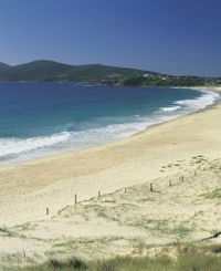 Book Forster Accommodation Vacations Attractions Melbourne Attractions Melbourne