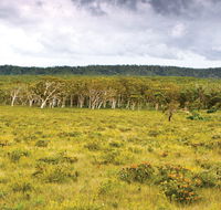 Yuraygir National Park - Attractions Melbourne