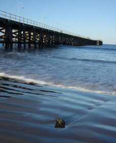 Jetty Beach - Attractions Melbourne 0