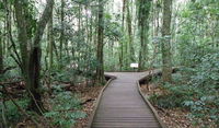 Victoria Park boardwalk
