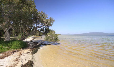 Booti Booti National Park - Attractions Melbourne 1