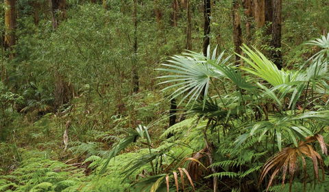 Booti Booti National Park - Attractions Melbourne 2