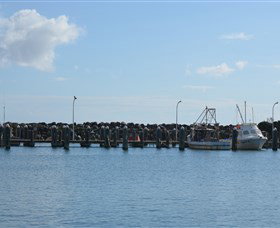 Club Harrington - Attractions Melbourne 2