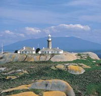 Montague Island Nature Reserve - Attractions Melbourne