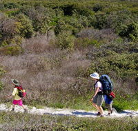 Yuraygir coastal walk - Attractions Melbourne