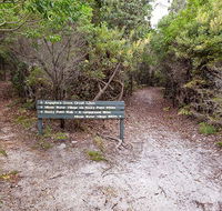 Angophora grove walking track - Attractions Melbourne