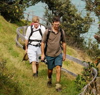 Illaroo to Wooli walking track - Attractions Melbourne