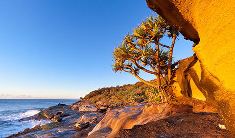 Angourie To Brooms Head - Attractions Melbourne 1