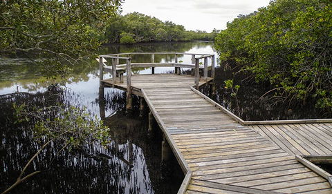 Walk On Water Walking Track - Attractions Melbourne 1