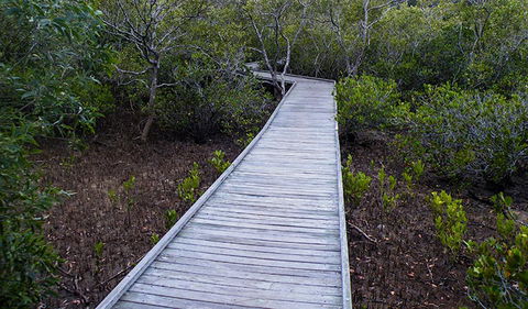Walk On Water Walking Track - Attractions Melbourne 3