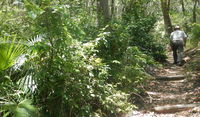 Bridle trail