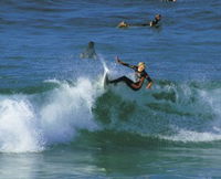 Book Cabarita Beach Accommodation Vacations Attractions Melbourne Attractions Melbourne