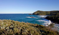 Smoky Cape walking track