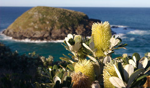 Green Island Walking Track - Attractions Melbourne 0