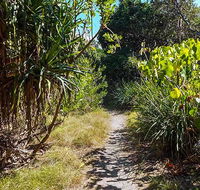 North Head walking track - Attractions Melbourne