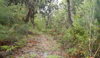 Book Hat Head Accommodation Vacations Attractions Melbourne Attractions Melbourne