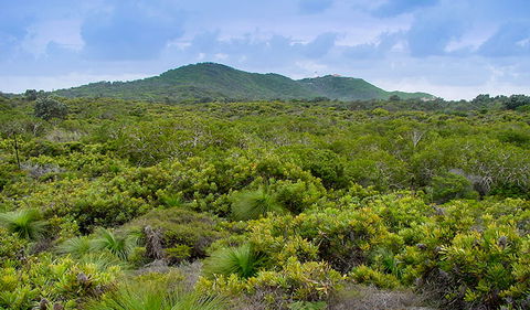 Arakwal National Park - Attractions Melbourne 1