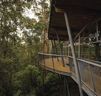 Tarkine Forest Adventures - Dismal Swamp - Attractions Melbourne