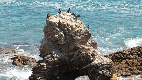 Ben Boyd National Park - Attractions Melbourne 2