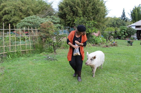Djanbung Permaculture Gardens - Attractions Melbourne 7