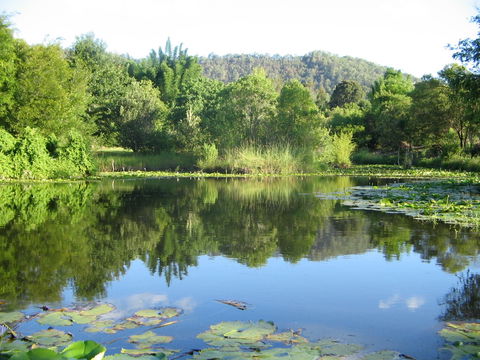 Djanbung Permaculture Gardens - Attractions Melbourne 10