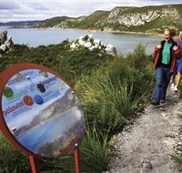 Rocky Cape National Park - Attractions Melbourne