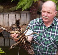 Lobster Ponds - Attractions Melbourne