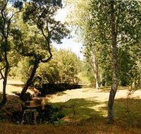 Oldina Picnic Area - Attractions Melbourne