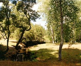 Oldina Picnic Area - Attractions Melbourne 0