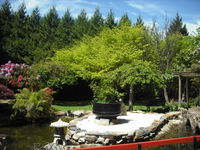 Annsleigh Gardens and Cafe