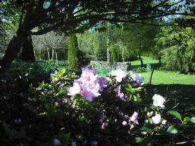 Annsleigh Gardens And Cafe - Attractions Melbourne 3