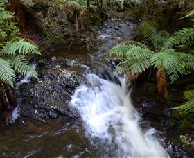 Philosopher Falls - Attractions Melbourne 4