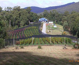 Motton Terraces - Attractions Melbourne 0