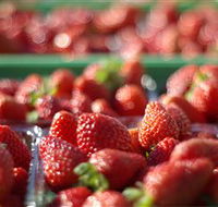 Turners Beach Berry Patch - Attractions Melbourne