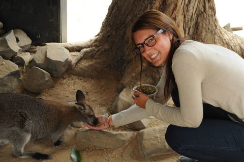 Autopia Tours - Attractions Melbourne 6