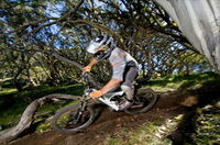 All Terrain Cycles