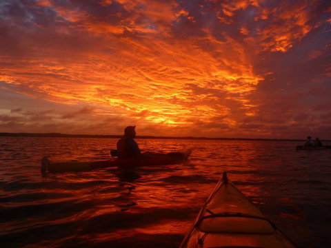 Canoe The Coorong - Attractions Melbourne 6