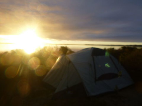 Canoe The Coorong - Attractions Melbourne 14