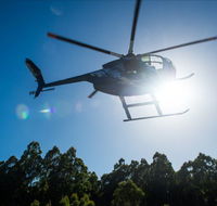 Tall Timbers Adventure Tours - Attractions Melbourne