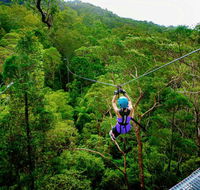 Canyon Flyer - Attractions Melbourne