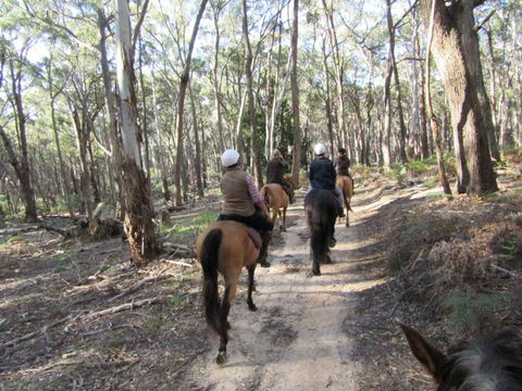 Silver Brumby Trails - Attractions Melbourne 0