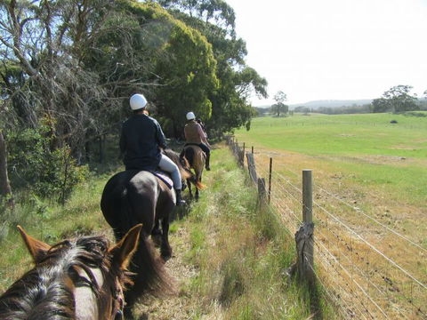 Silver Brumby Trails - Attractions Melbourne 1
