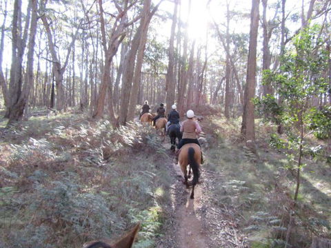 Silver Brumby Trails - Attractions Melbourne 2