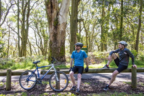 Fit Tours - Attractions Melbourne 7