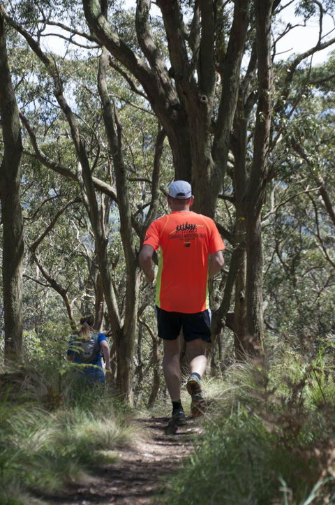 Fit Tours - Attractions Melbourne 13